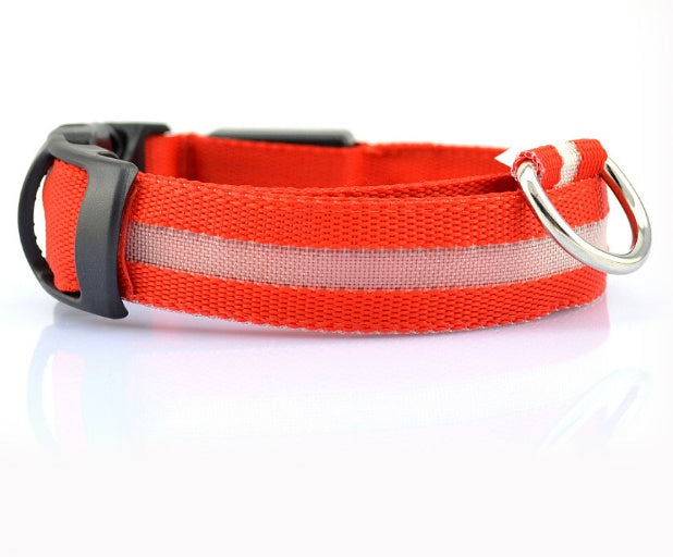 Safety LED Dog Collar – Shine Bright, Stay Safe
