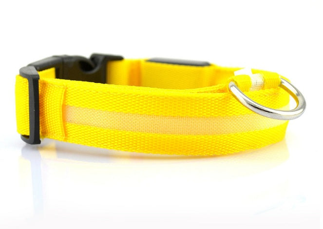 Safety LED Dog Collar – Shine Bright, Stay Safe