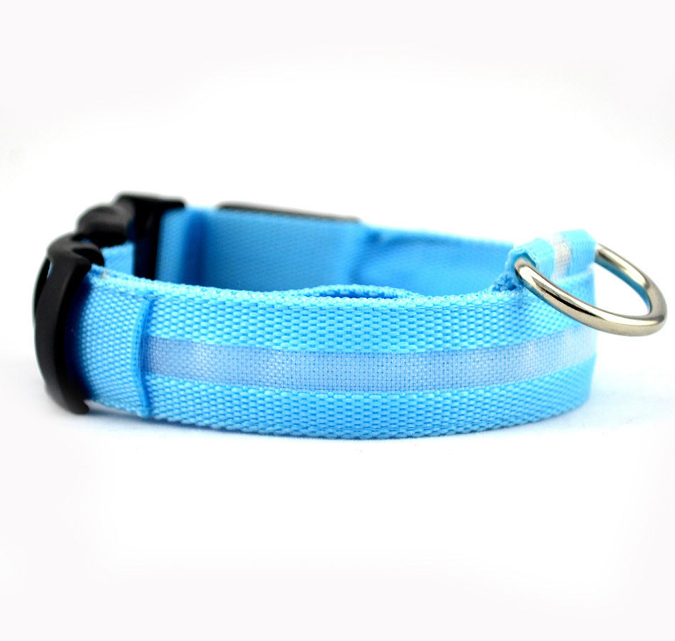 Safety LED Dog Collar – Shine Bright, Stay Safe