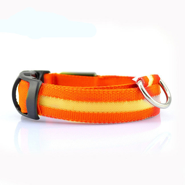Safety LED Dog Collar – Shine Bright, Stay Safe