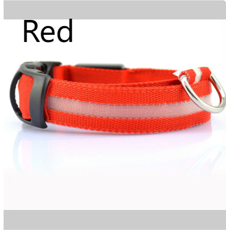 Safety LED Dog Collar – Shine Bright, Stay Safe