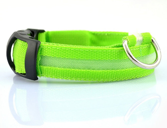 Safety LED Dog Collar – Shine Bright, Stay Safe