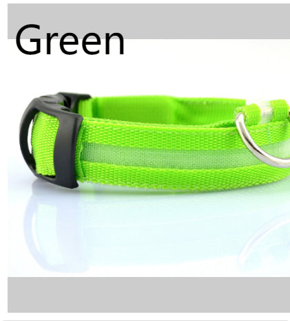 Safety LED Dog Collar – Shine Bright, Stay Safe