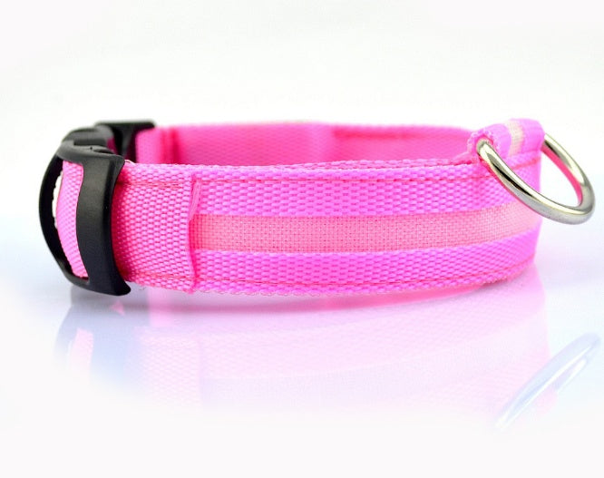 Safety LED Dog Collar – Shine Bright, Stay Safe