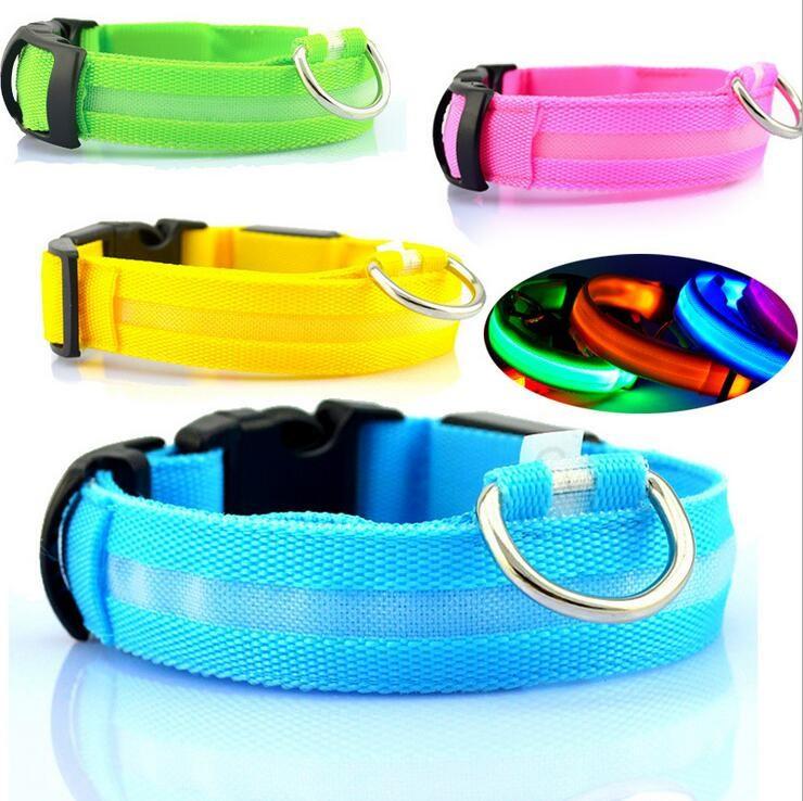 Safety LED Dog Collar – Shine Bright, Stay Safe