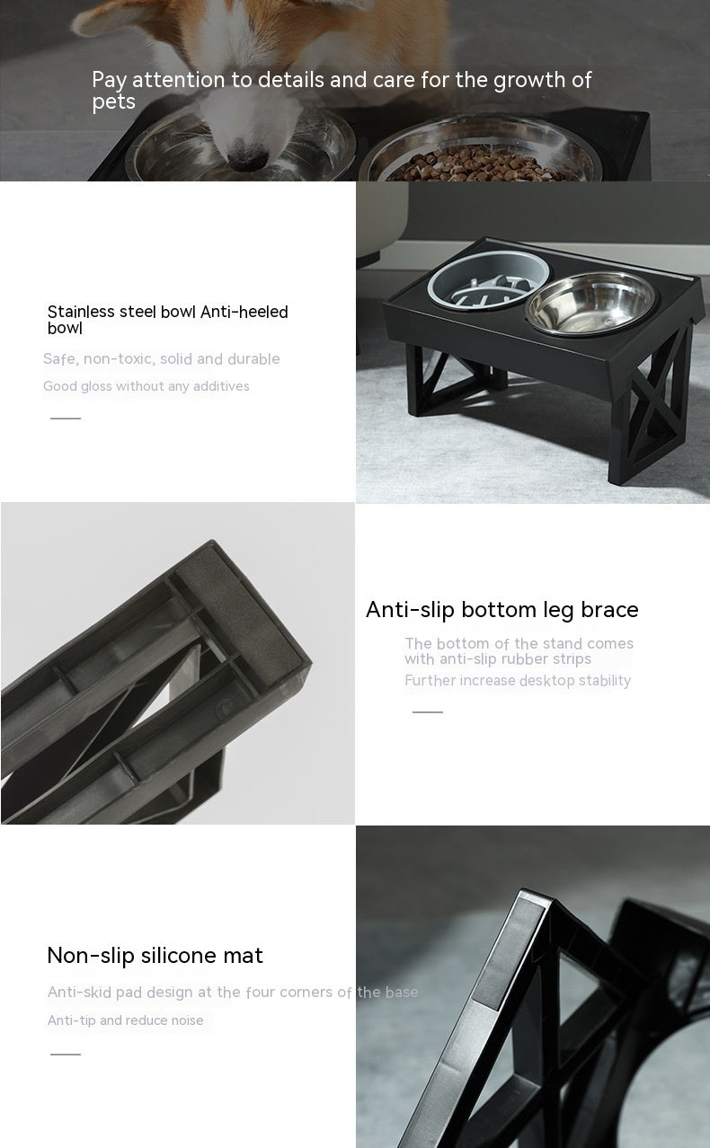 Elevated Slow Feed Dog Bowl – Healthy Mealtime