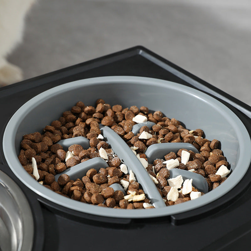 Elevated Slow Feed Dog Bowl – Healthy Mealtime