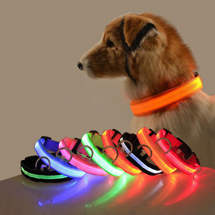 Safety LED Dog Collar – Shine Bright, Stay Safe