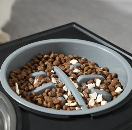 Elevated Slow Feed Dog Bowl – Healthy Mealtime