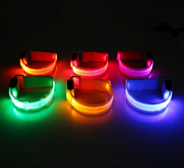 Safety LED Dog Collar – Shine Bright, Stay Safe