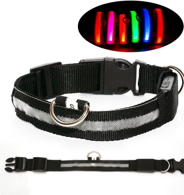 Safety LED Dog Collar – Shine Bright, Stay Safe