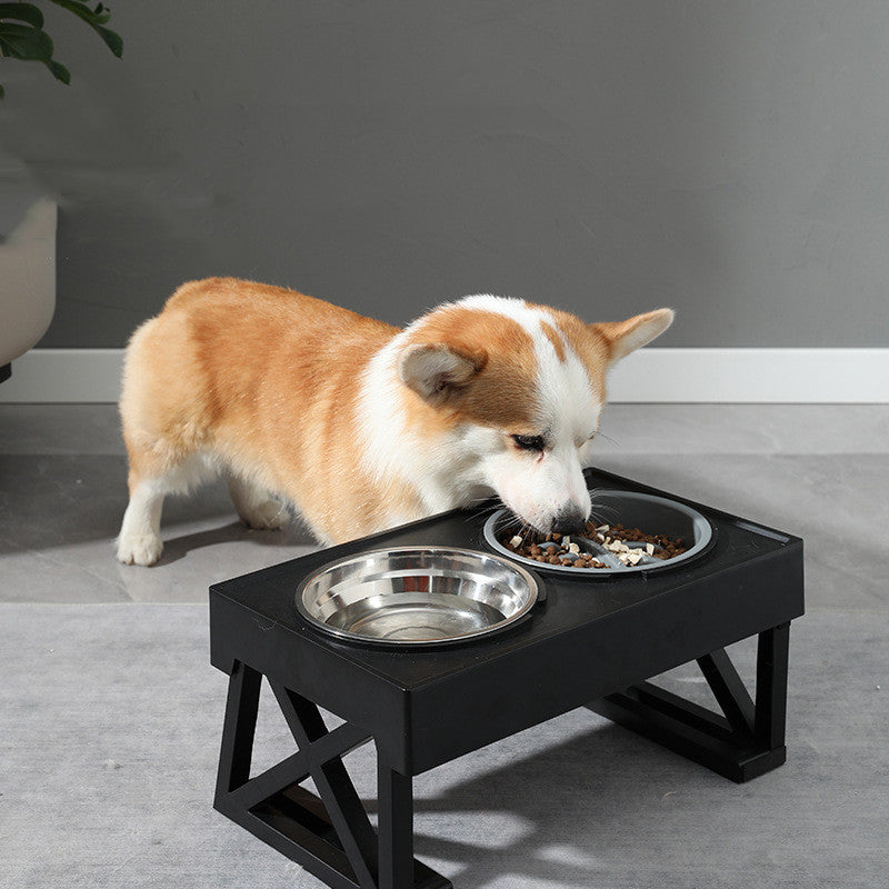 Elevated Slow Feed Dog Bowl – Healthy Mealtime