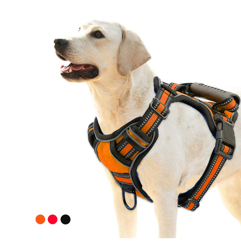 Comfy No-Pull Dog Harness with Safe Reflective Design